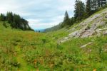2014-07-05_Laengental-N-Hochweg (886). JPG